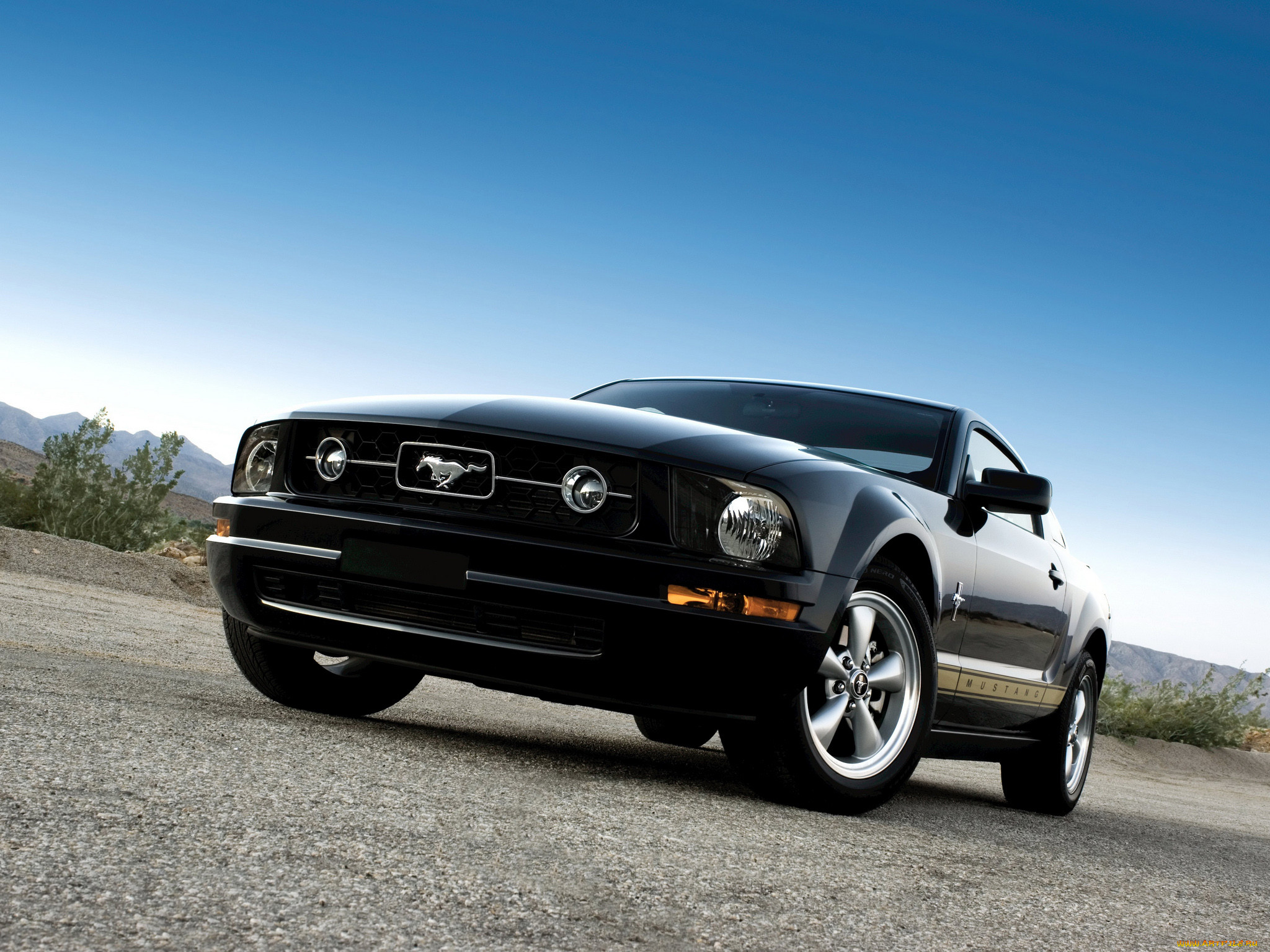 , mustang